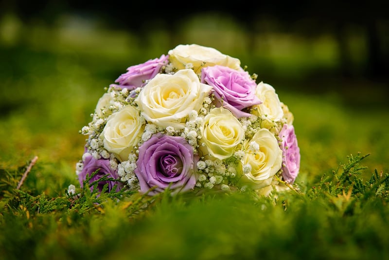 Enchanted Rose Garden