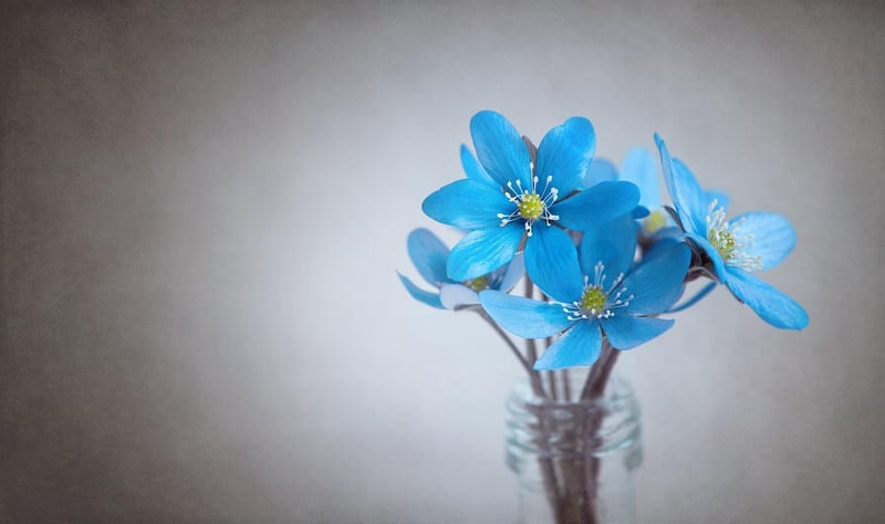 Mystical Flower